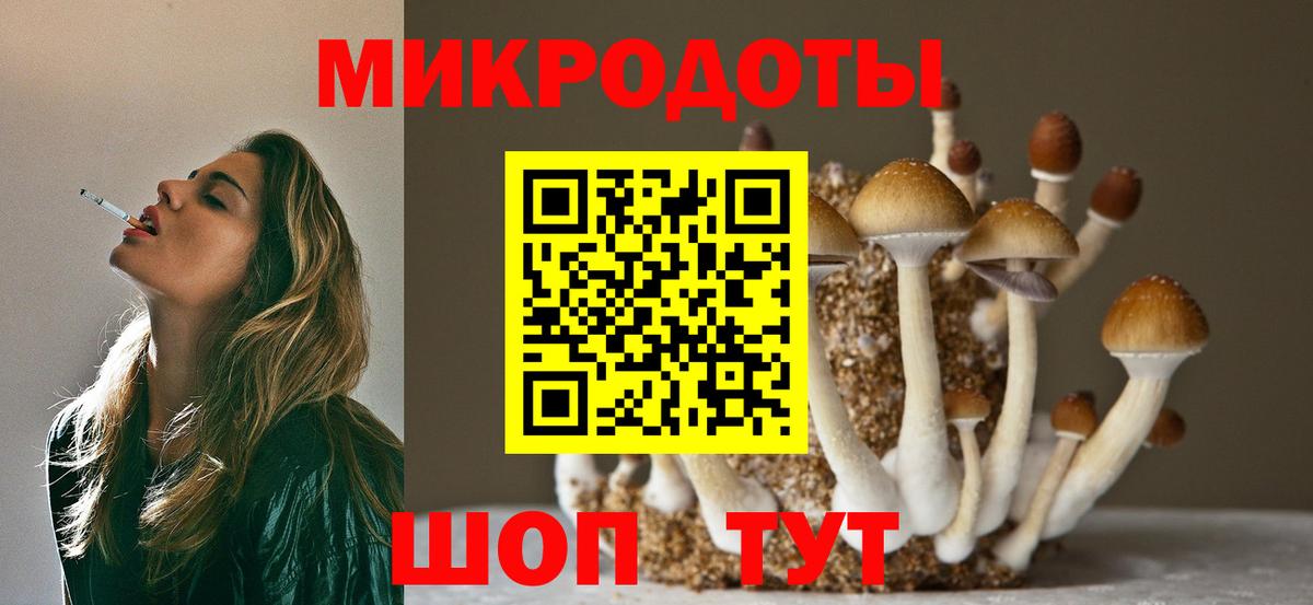 Псилоцибиновые грибы мухоморы  Псилоцибиновые грибы MAGIC MUSHROOMS  Вход с VPN  Каспийск 